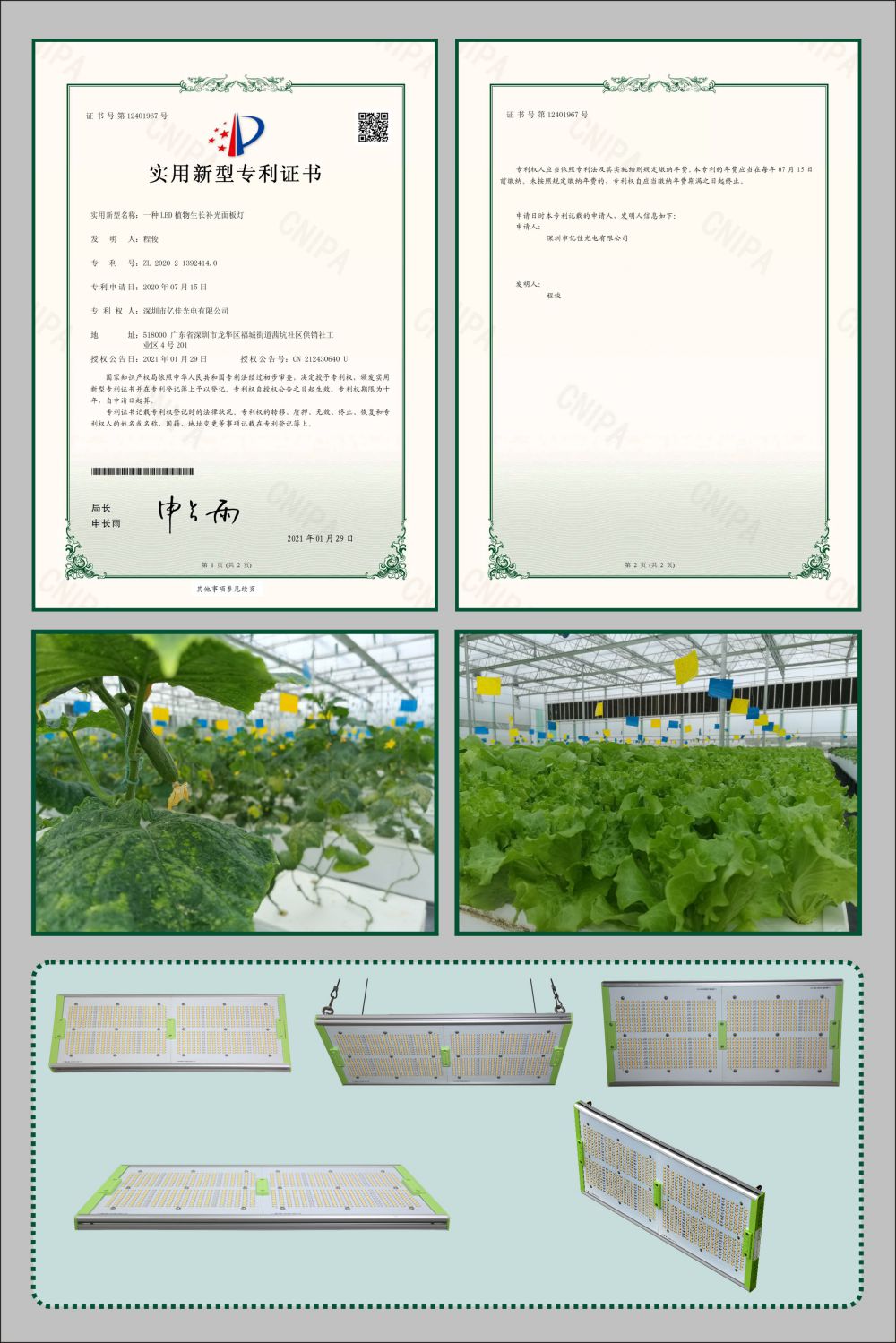 亿佳植物生长面板灯实用新型专利